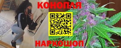 ALPHA PVP Бийск