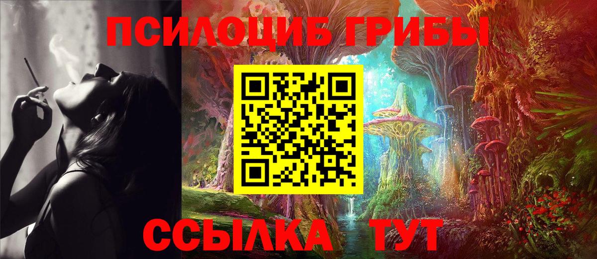 Заводоуковск  Галлюциногенные грибы прущие грибы  Вход с VPN 